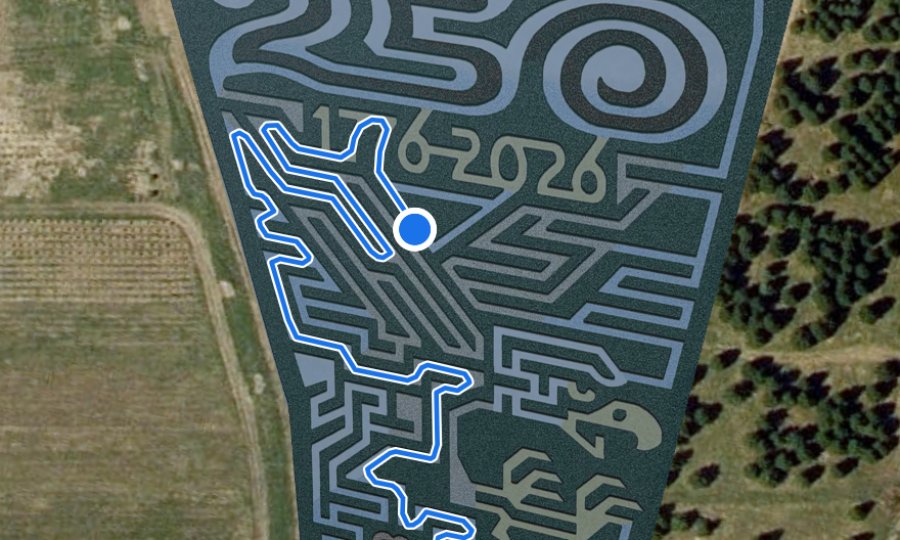 A blue route through the maze from a blue dot to the exit